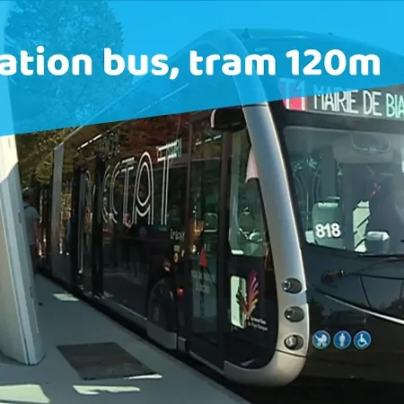 Vedetta - 4 Pers - 200 M Plage - Triangle D Or *